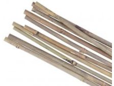 Tyč opěrná k rostlinám bambusová Garden KBT 750/6-8 mm balení 10ks