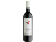Víno Dornfelder 2021 PS suché, 0,75 l č.š. 09-21 alk. 13%