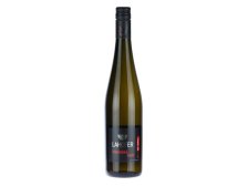 Víno Rulandské šedé 2022 PS Waldberg polosuché, 0,75 l alk. 12,5%