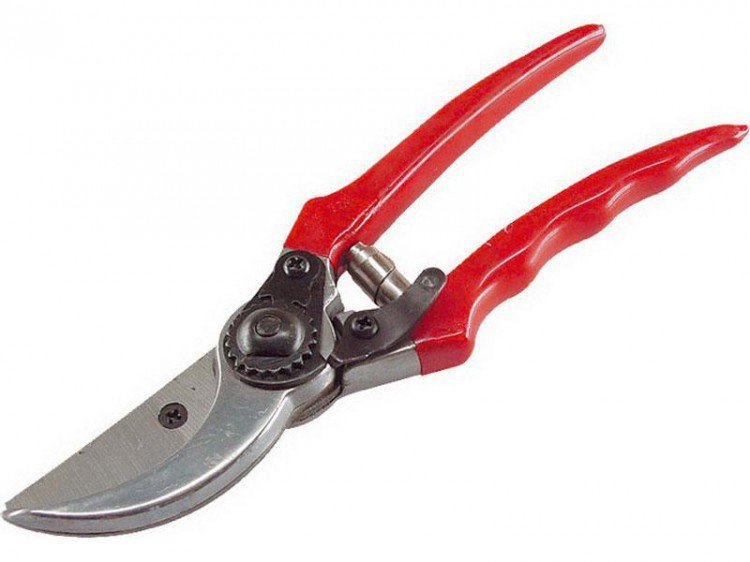 Nůžky na stromky 210 mm - Vybavení pro dům a domácnost Nůžky Nůžky zahradnické