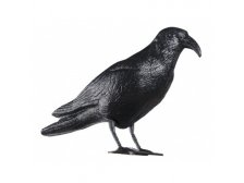 Plašič ptáků, havran černý, 38 cm