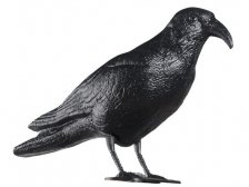 Odpuzovač holubů - havran