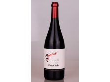 Víno PINOT NOIR PS 2017 suché 0,75l č. š. 7135