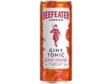 GIN Beefeater + tonic bl. orange 0,25 l
