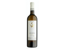 Víno Sauvignon 2020 PS polosuché č. š. 15-20