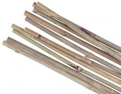 Tyč opěrná k rostlinám bambusová Garden KBT 900/8-10 mm balení 10ks