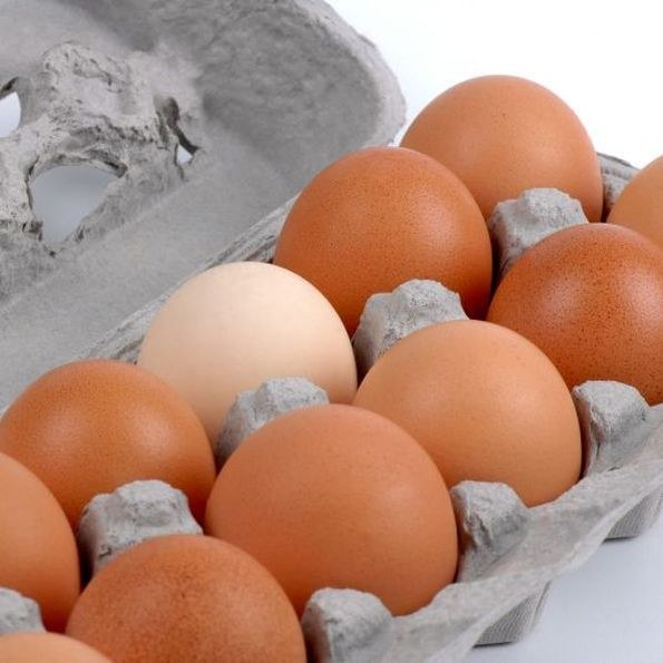 Vejce slepičí, klecová, " L", balení - 10 ks Vejce slepičí, klecová, " L", balení - 10 ks - Delikatesy, dárky Ostatní delikatesy