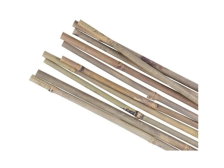 Opěra Bambus 210 cm (18 - 20)