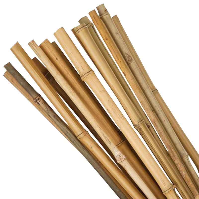Tyč opěrná k rostlinám bambusová Garden KBT 1800/16-18 mm balení 10 ks - Zednické nářadí, zahrada, nádoby Nářadí a pomůcky hospodářské Pomůcky hospodářské ostatní