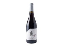 Víno Merlot 2025 VZ s přívlastkem suché, 0,75 l č. š 5117 alk.14%